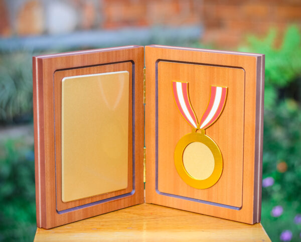 WP-20 H1B WITH MEDAL