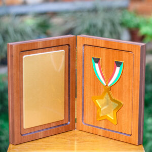 WP-20 H1B B WITH MEDAL