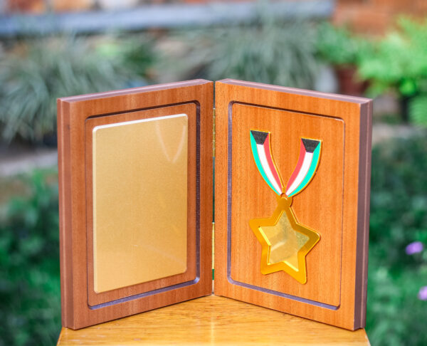 WP-20 H1B B WITH MEDAL